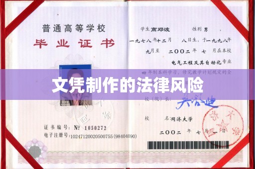 兰陵文凭制作的法律风险